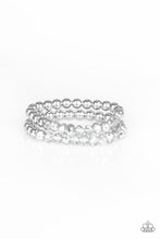 Load image into Gallery viewer, Chroma Color - Silver